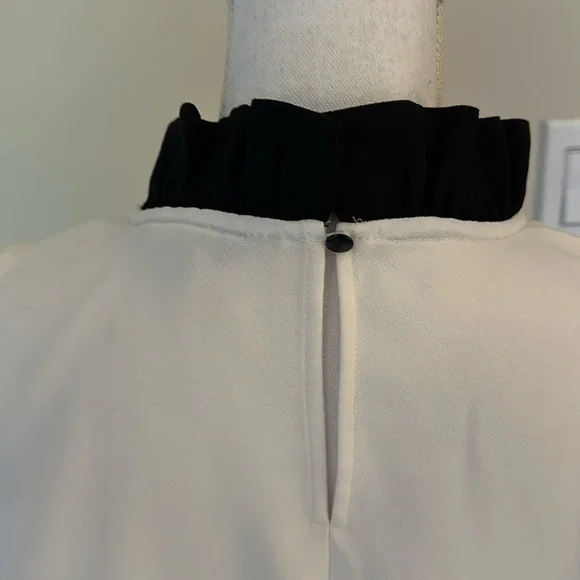 Classic Shell - Picture 5 of 5